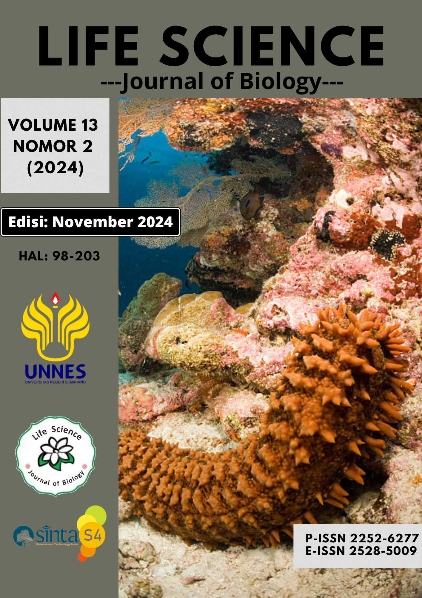 					View Vol. 13 No. 2 (2024): November 2024
				