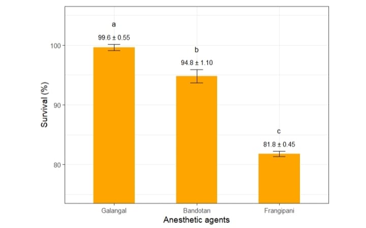 Survival Rate per Treatment